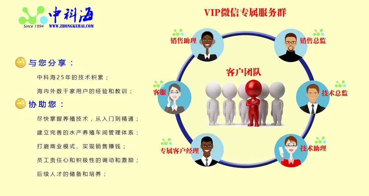 中科海 中科海