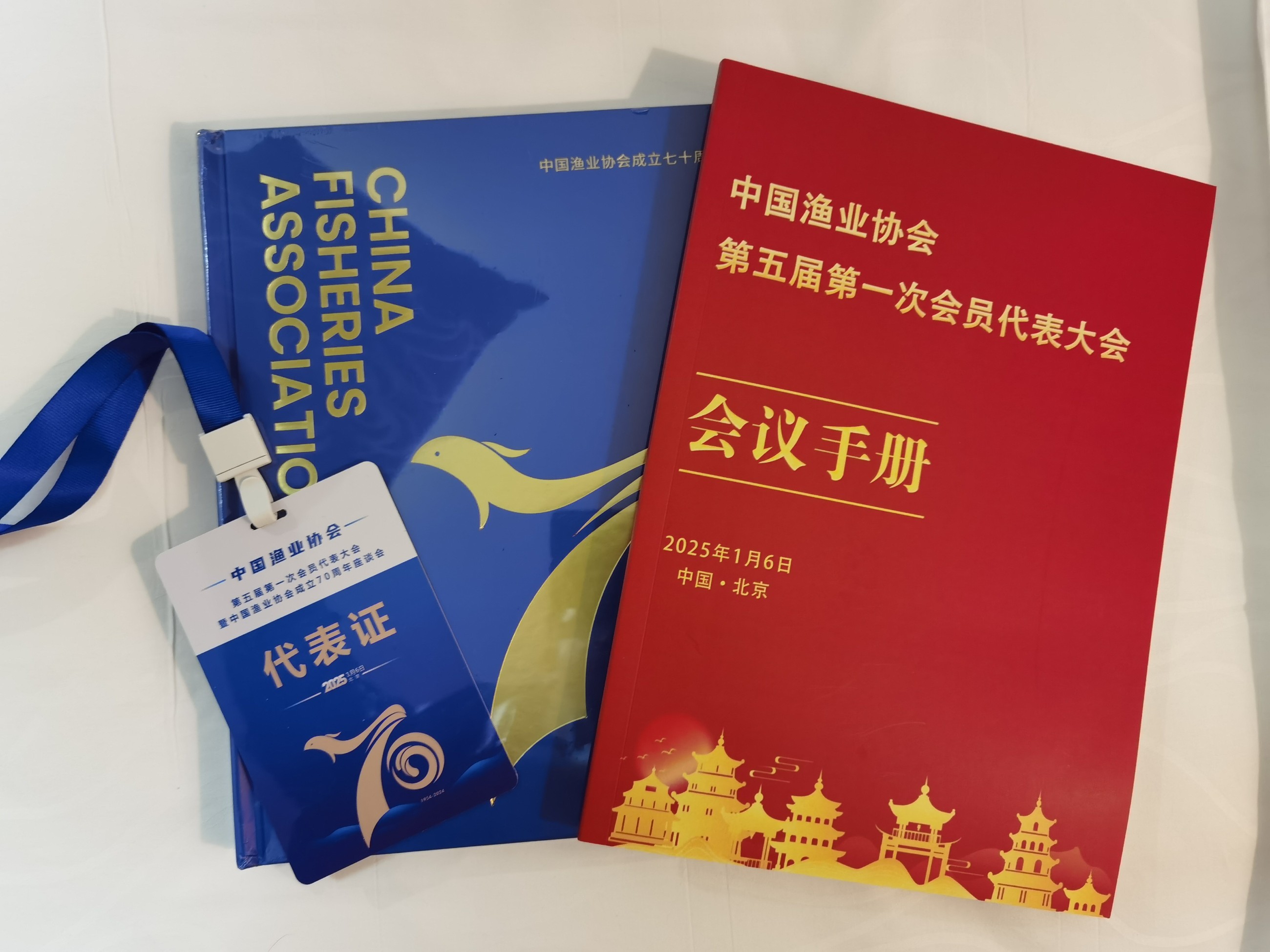 中科海 中科海