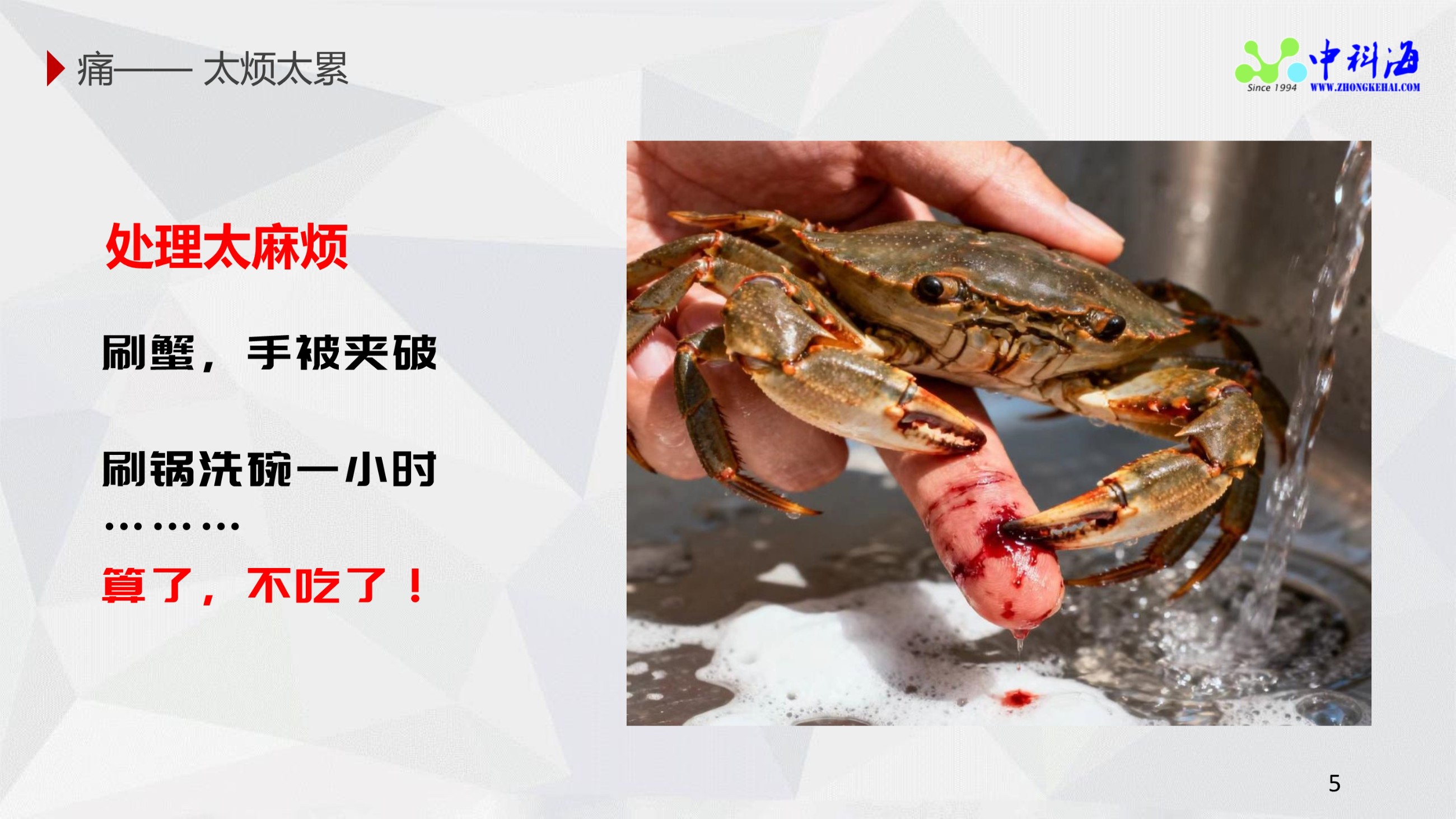 中科海