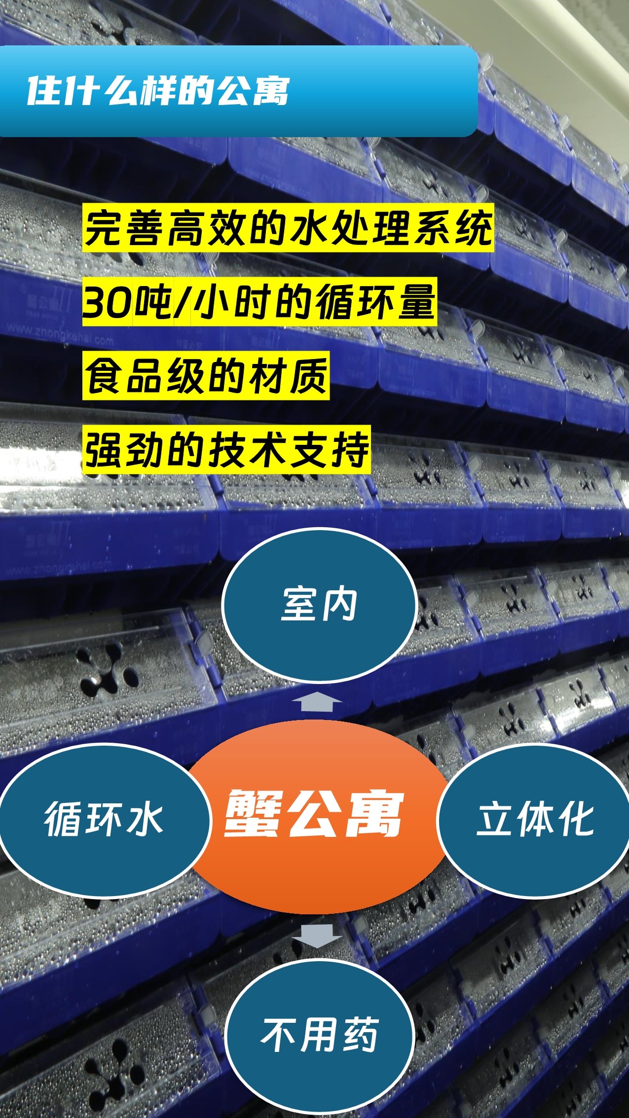中科海 中科海