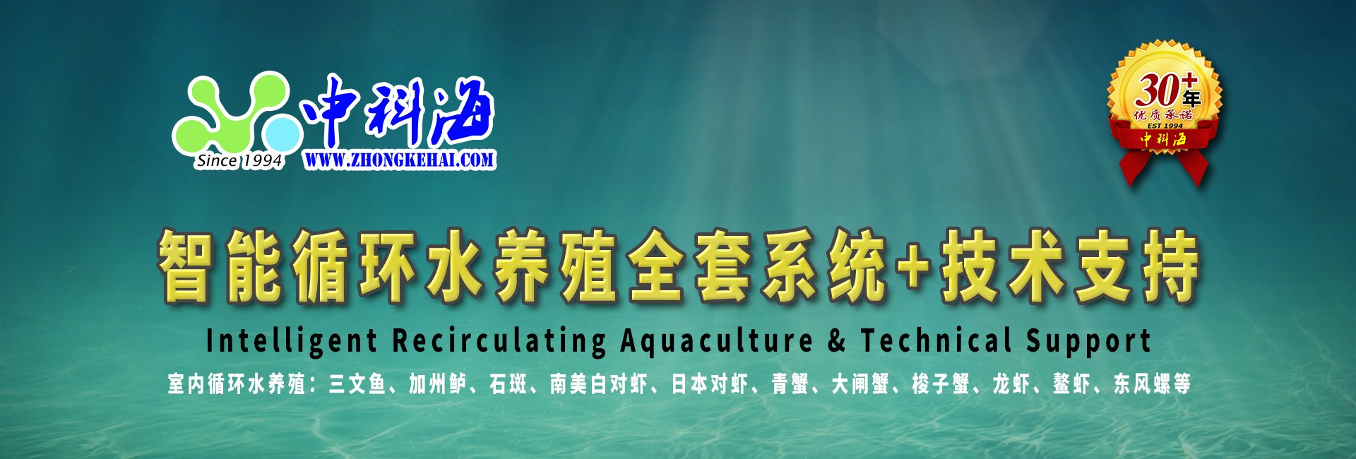 中科海 中科海