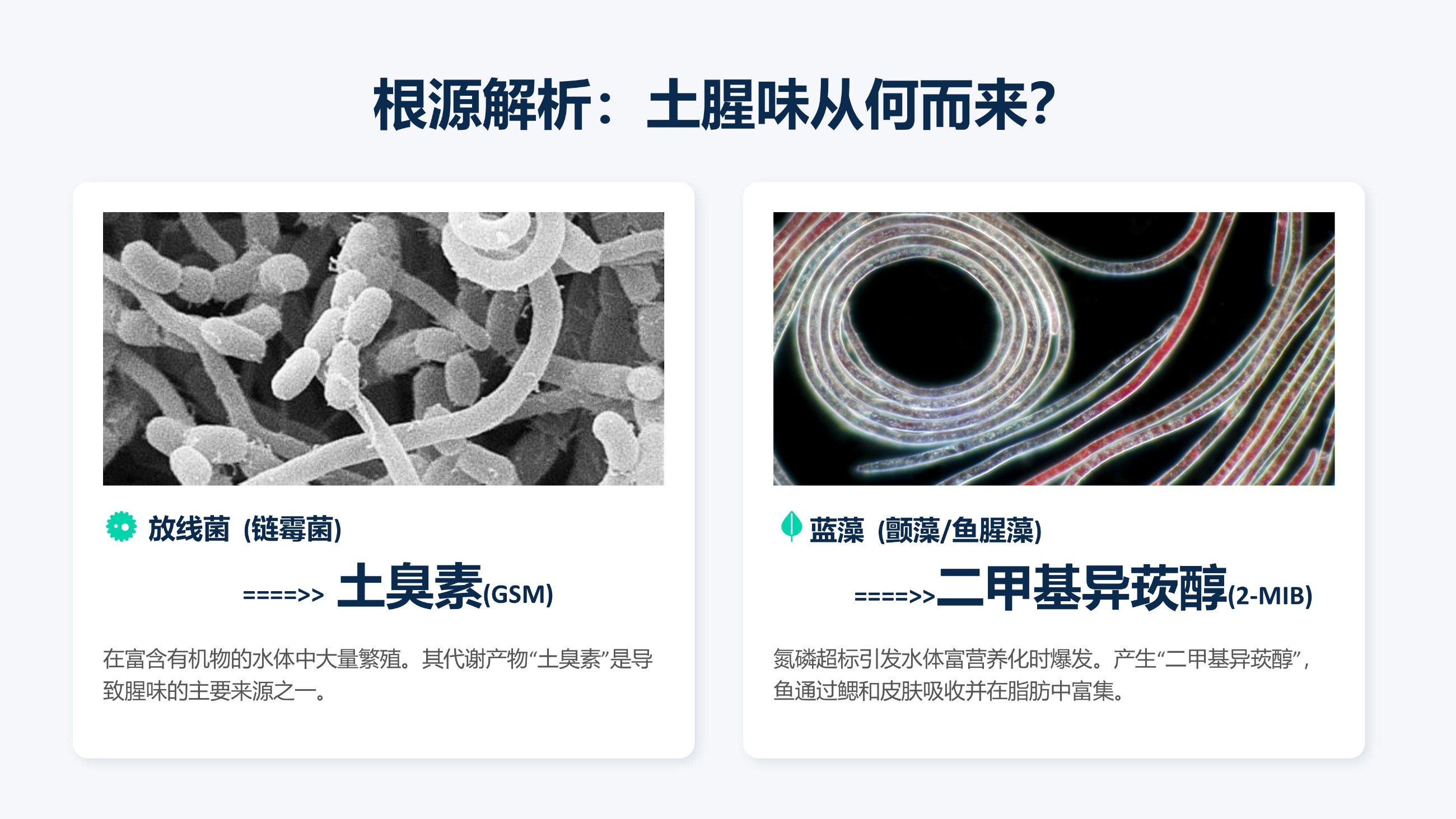 中科海 中科海