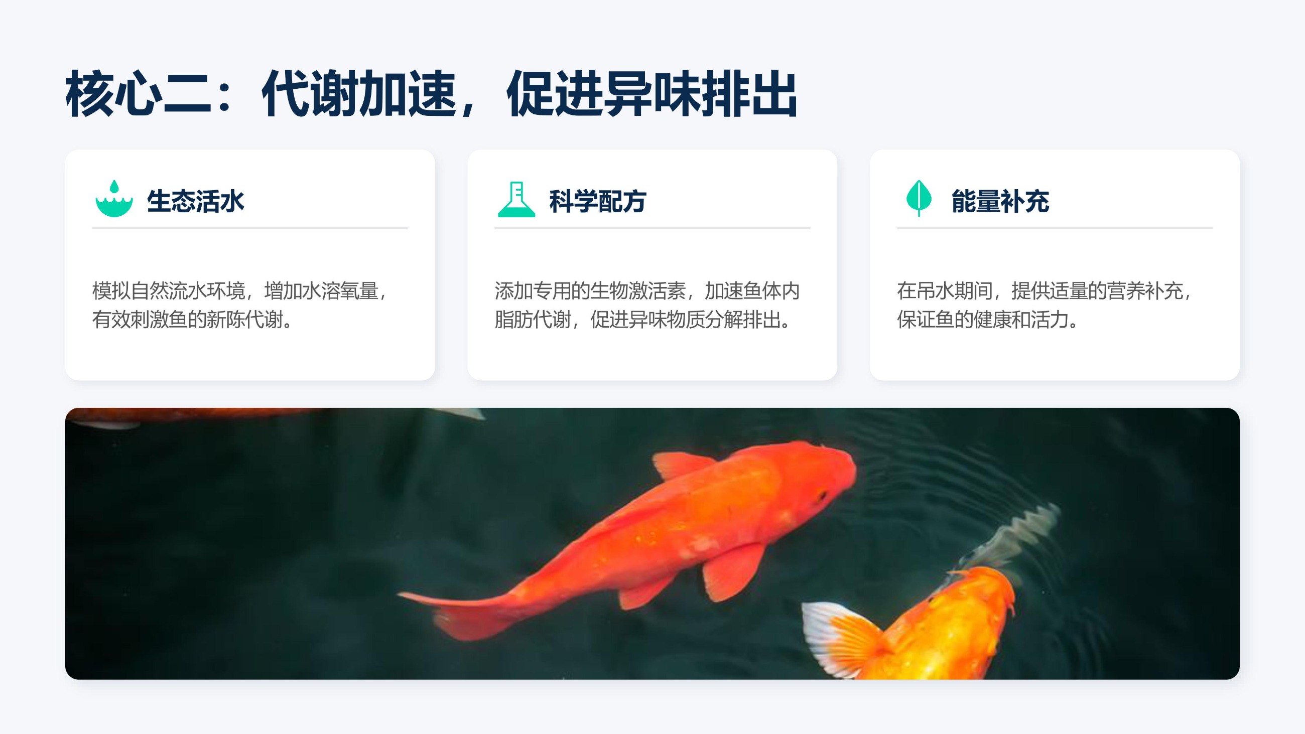 中科海 中科海