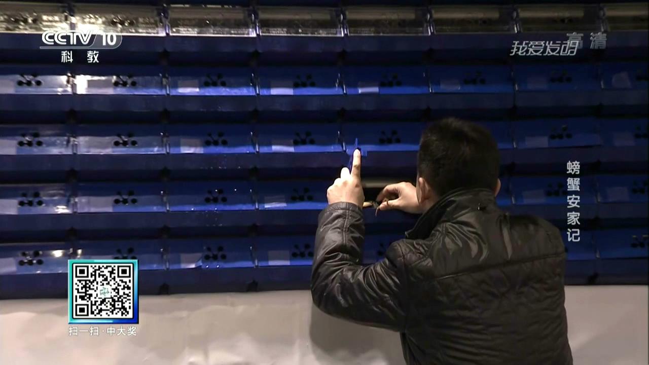 中科海 中科海