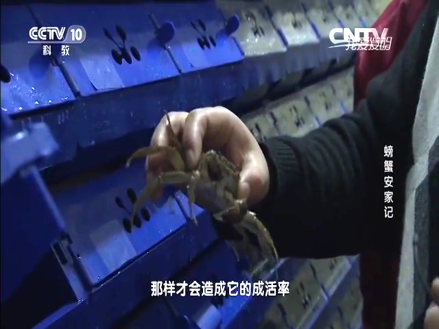 中科海 中科海