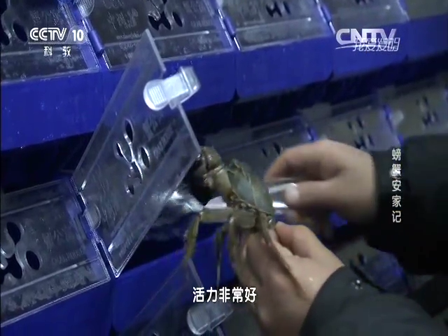 中科海 中科海