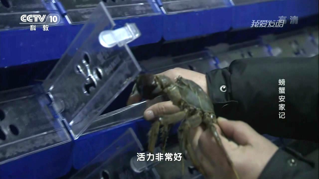 中科海 中科海
