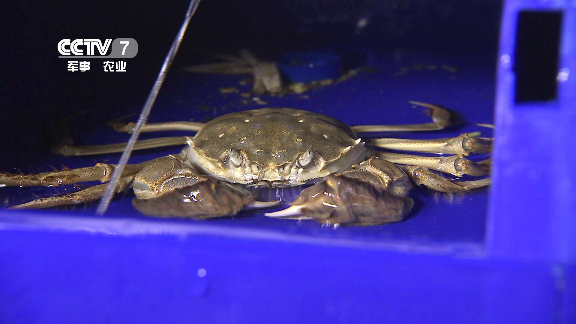 中科海 中科海