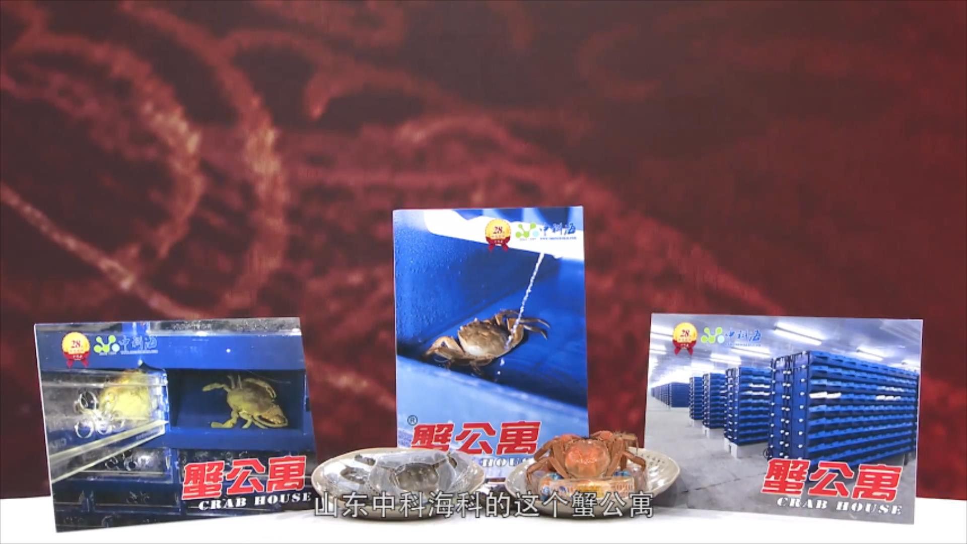 中科海 中科海