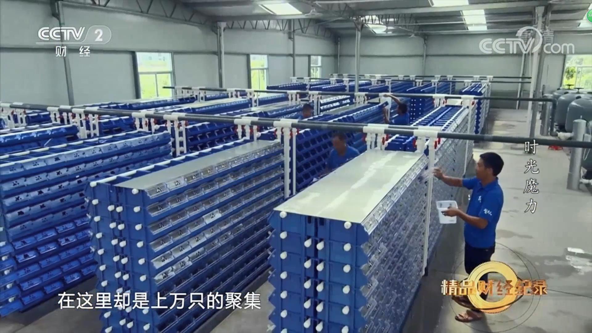 中科海 中科海