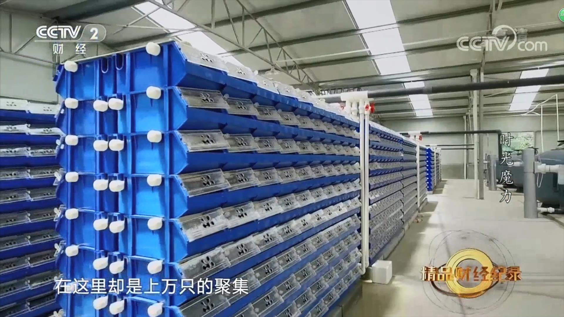 中科海 中科海