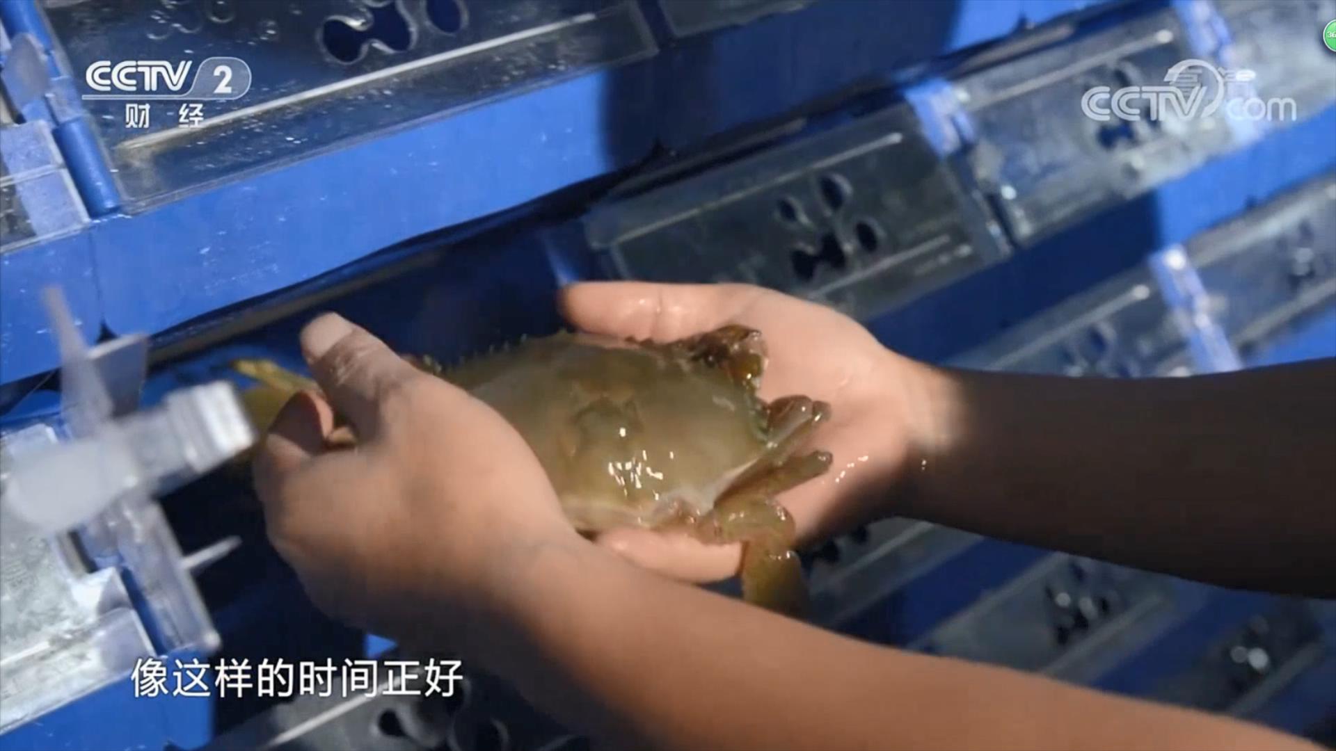 中科海 中科海