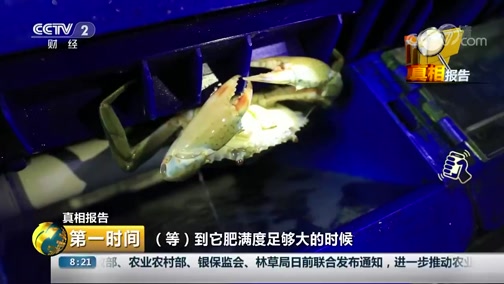 中科海 中科海