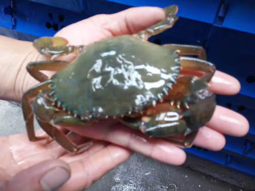 中科海