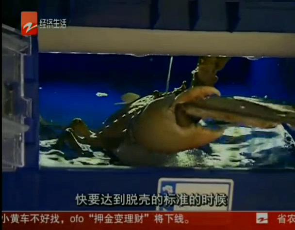 中科海 中科海