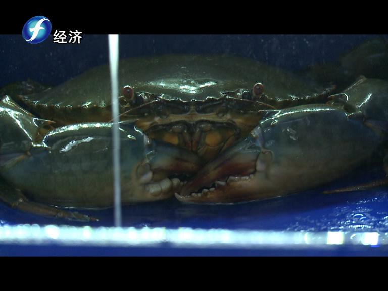 中科海 中科海