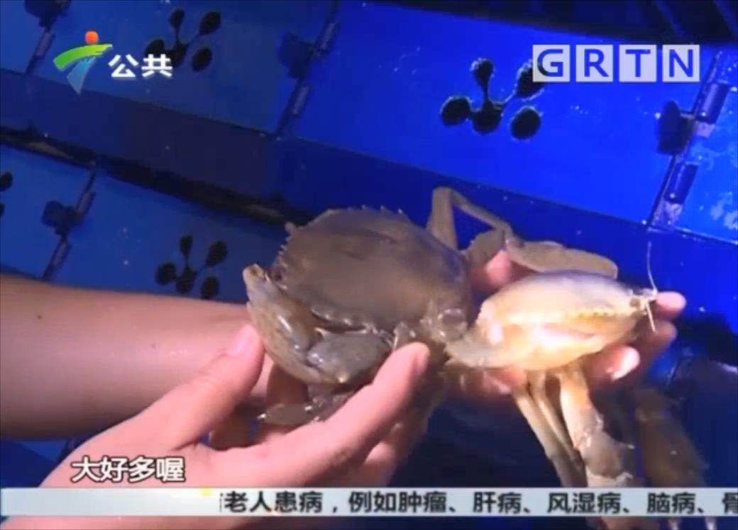 中科海 中科海