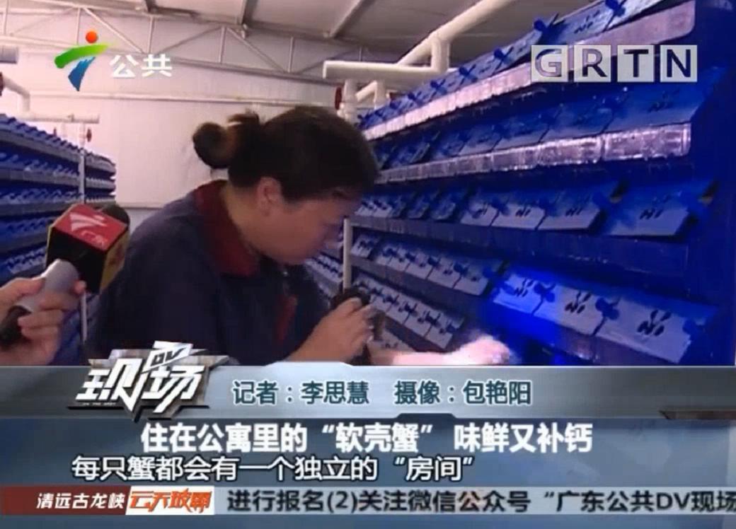 中科海 中科海
