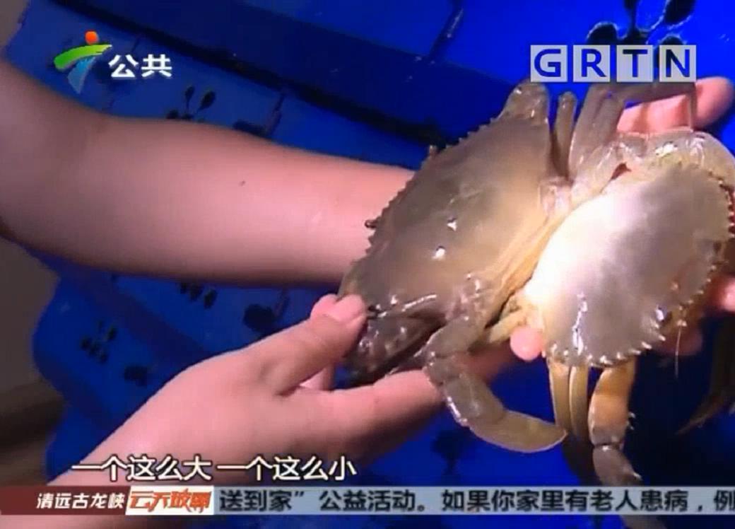 中科海 中科海