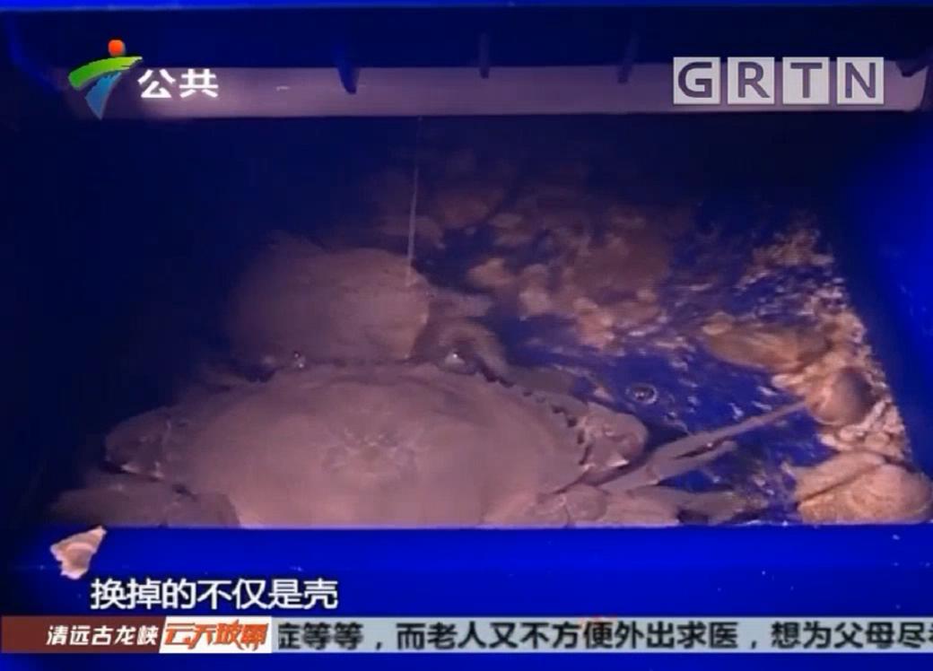 中科海 中科海
