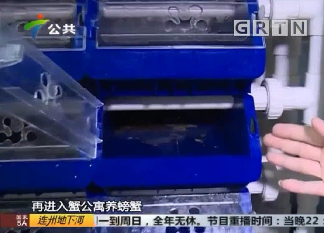 中科海 中科海