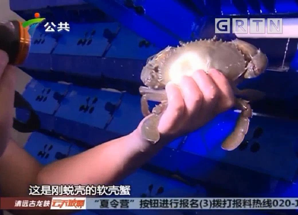 中科海 中科海