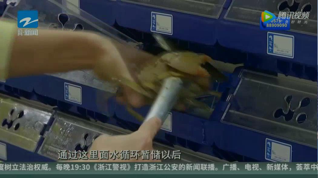 中科海 中科海