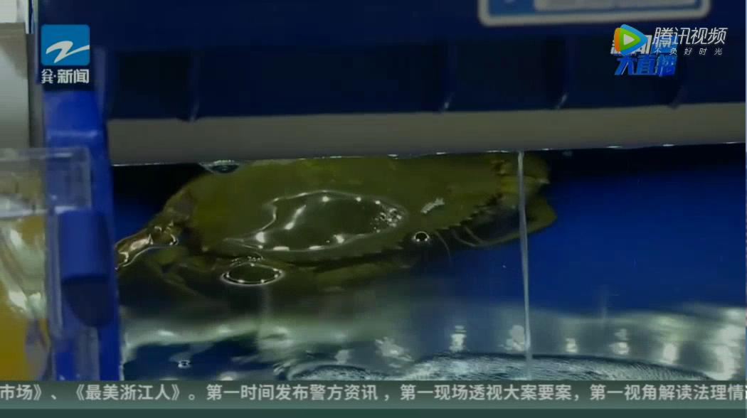 中科海 中科海