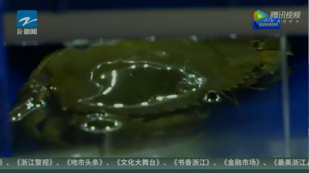 中科海 中科海
