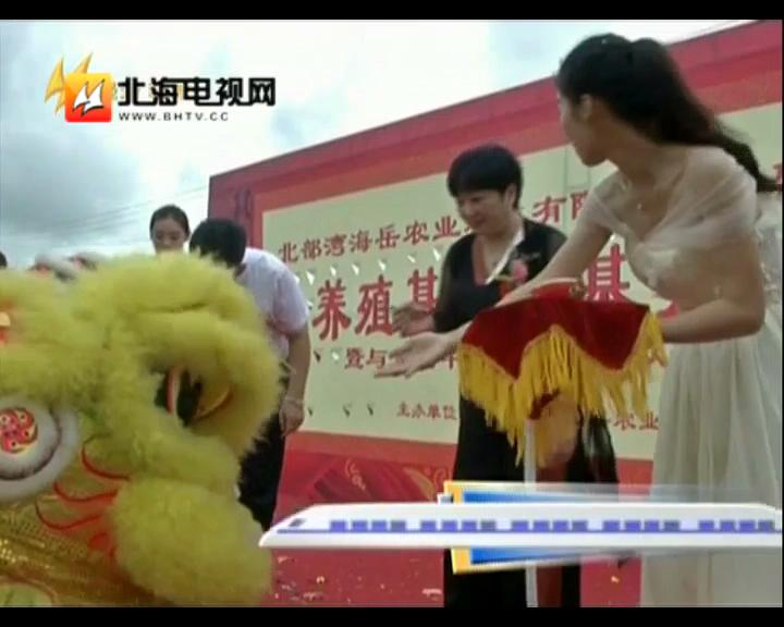 中科海 中科海