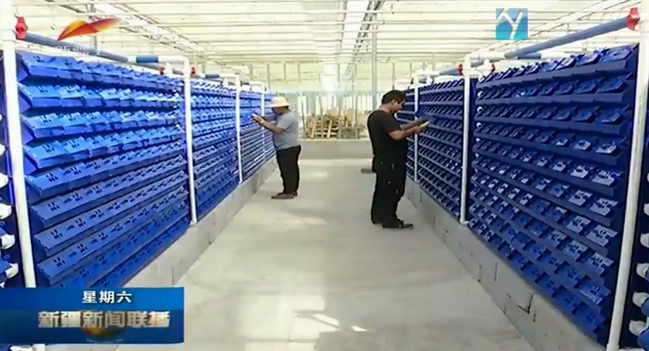 中科海 中科海