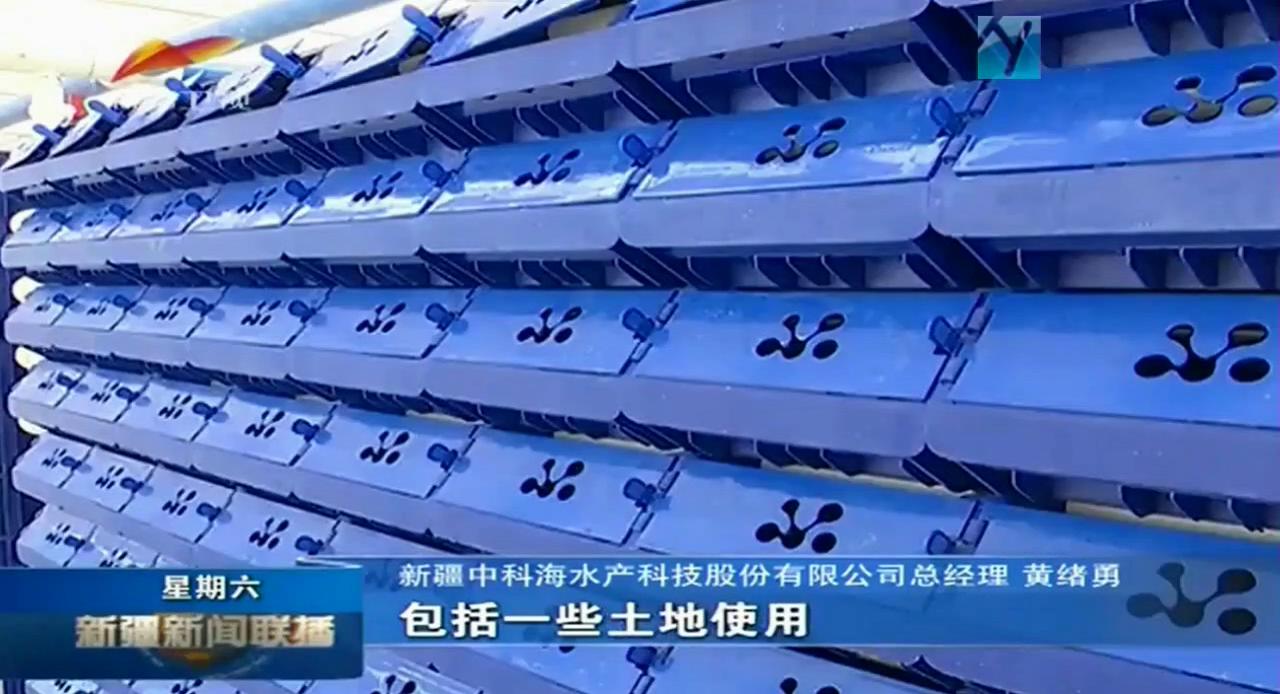 中科海 中科海