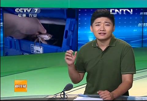 中科海 中科海