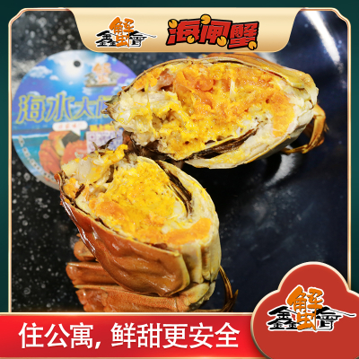【鑫蟹会】海闸蟹（海水大闸蟹）