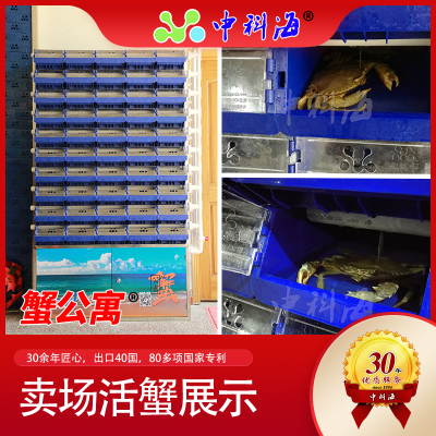 商超型蟹公寓 螃蟹 / 软壳蟹 立体养殖水循环系统-第三代（花勃-蟹单间-蟹别墅-蟹屋-蟹房-蟹笼-CRAB HOUSE-CRAB CONDO）