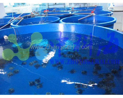 中国科学院海洋研究所-水族楼-鱼类实验室