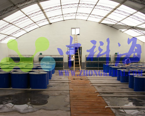 胶南瑞滋海参 黄海水产研究所水族实验室