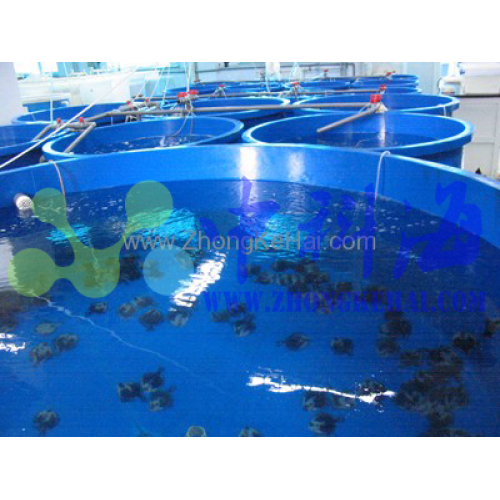 中国科学院海洋研究所-水族楼-鱼类实验室