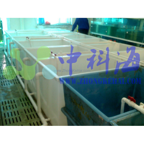 海洋研究所 水族楼 PP水槽