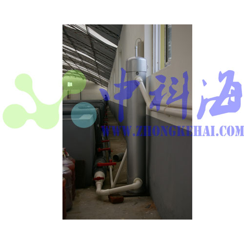 胶南瑞滋海参 黄海水产研究所水族实验室