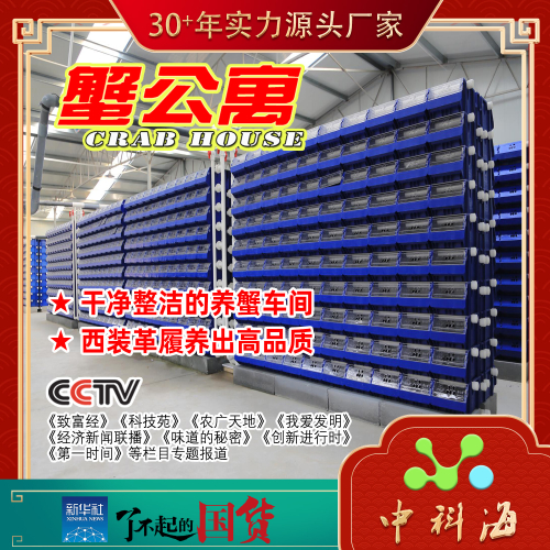 生产型 室内立体循环水养蟹系统蟹公寓（花勃-蟹单间-蟹别墅-蟹屋-蟹房-蟹笼-CRAB HOUSE-CRAB CONDO）套装
